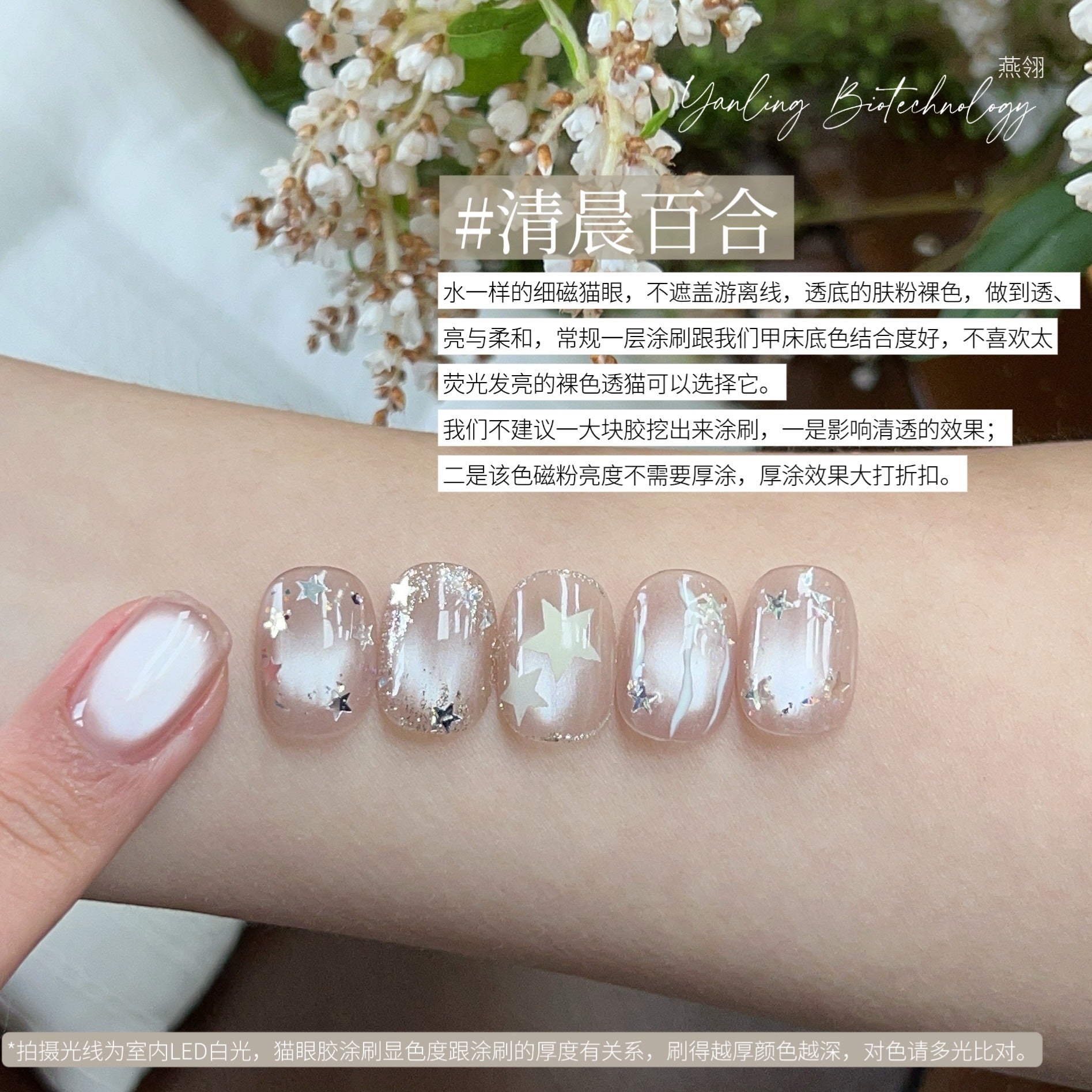 【Yanling / 受注販売(8月中旬前後納期)】Liu Guang Cat Eye Series — Roman Iris Translucent Base Cat Eye, Ultra-Fine Magnetic Powder Cat Eye Gel, Water-Glow Ice-Clear Cat Eye / 流光猫眼系列 / Glass Cat Eye