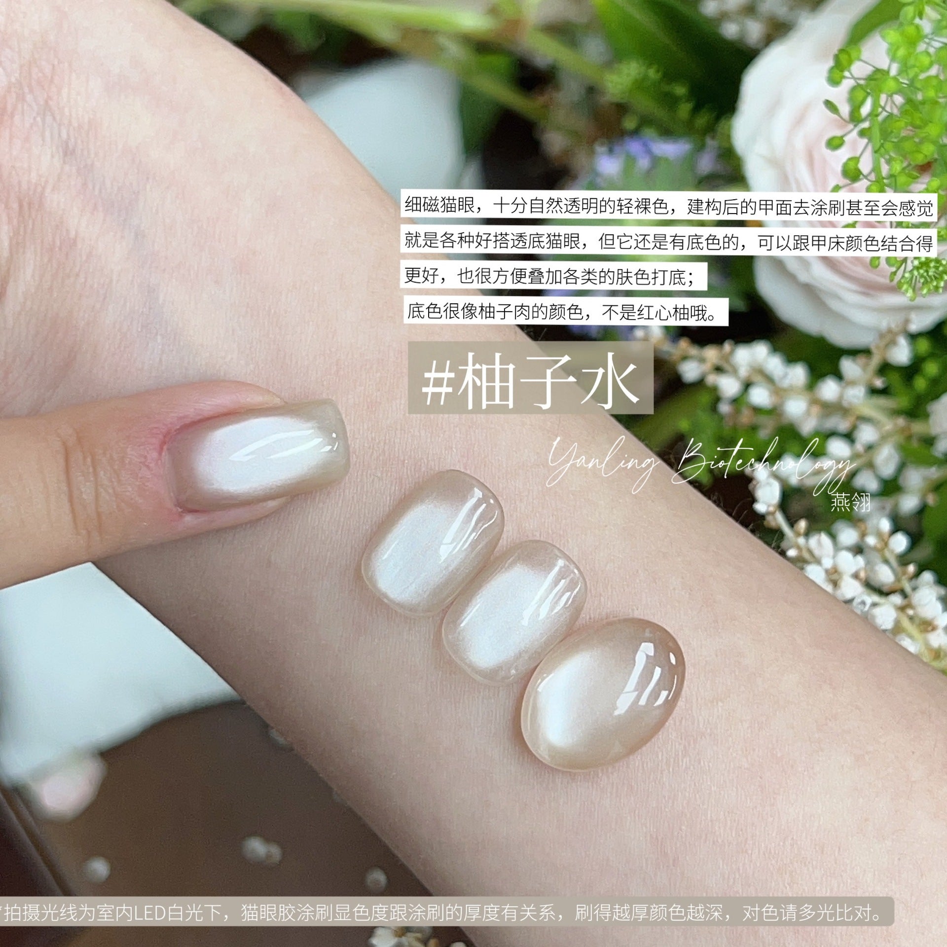 【Yanling / 受注販売(8月中旬前後納期)】Liu Guang Cat Eye Series — Roman Iris Translucent Base Cat Eye, Ultra-Fine Magnetic Powder Cat Eye Gel, Water-Glow Ice-Clear Cat Eye / 流光猫眼系列 / Glass Cat Eye