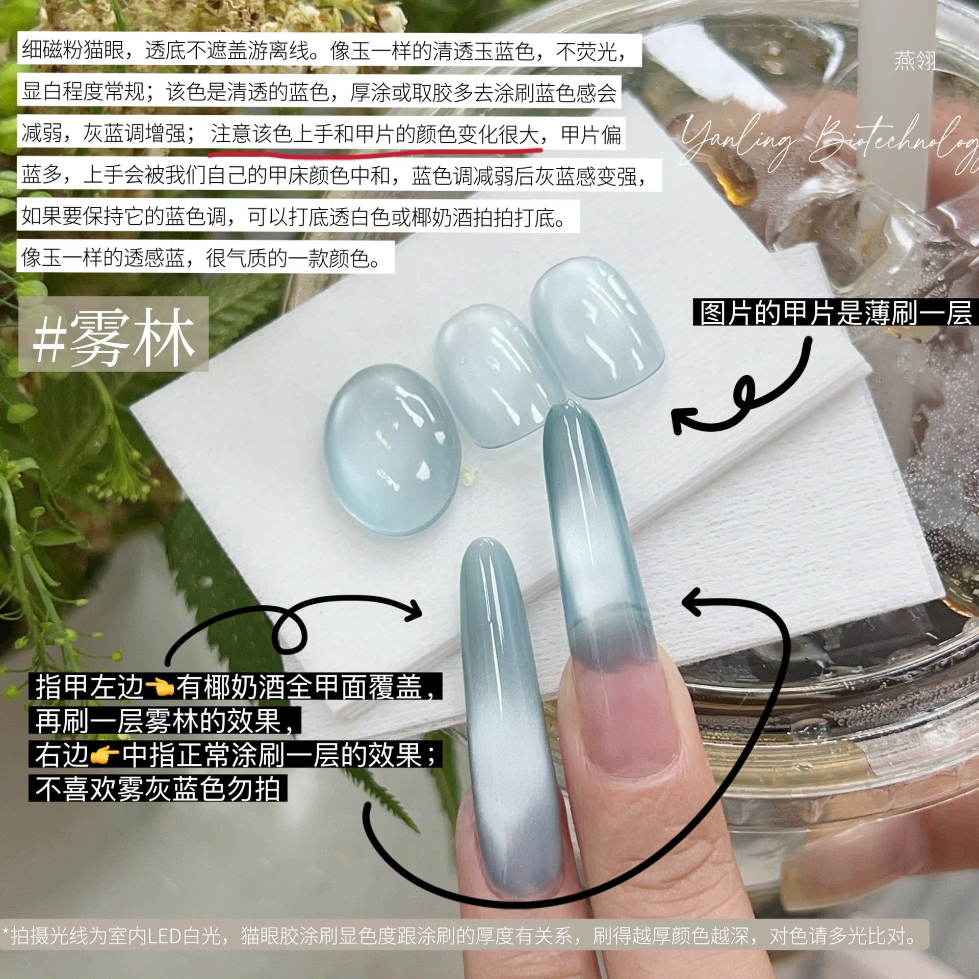 【Yanling / 受注販売(8月中旬前後納期)】Liu Guang Cat Eye Series — Roman Iris Translucent Base Cat Eye, Ultra-Fine Magnetic Powder Cat Eye Gel, Water-Glow Ice-Clear Cat Eye / 流光猫眼系列 / Glass Cat Eye
